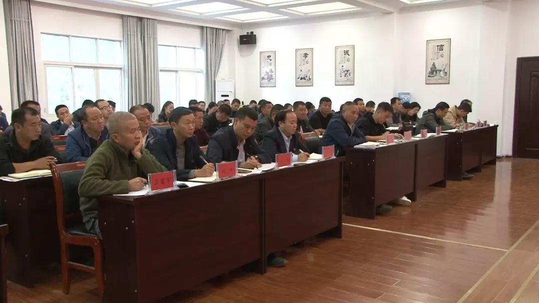 揭秘最准一码一肖100%专业版,实用释义、解释与落实 科.