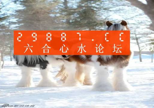 新闻 第31页